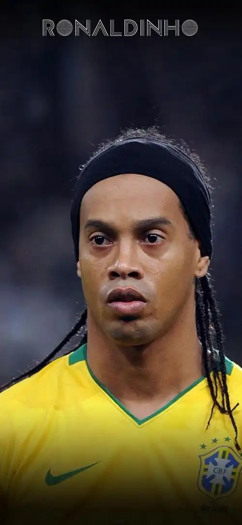 的缜密布局 的缜密布局